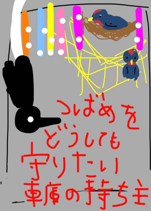 けいこpicture