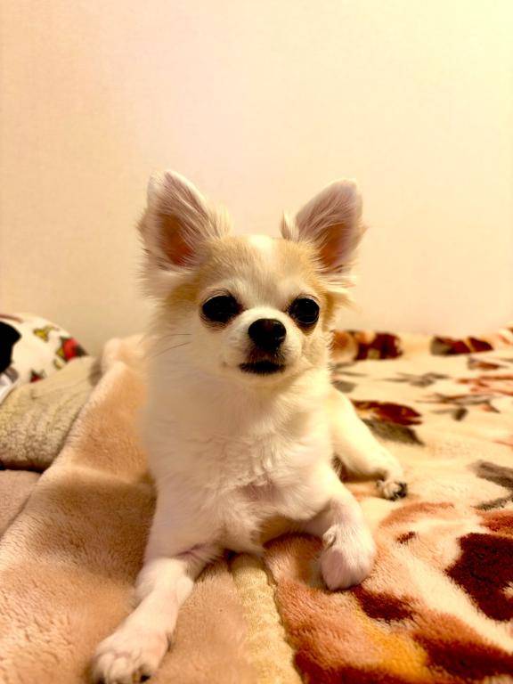 りいさpicture