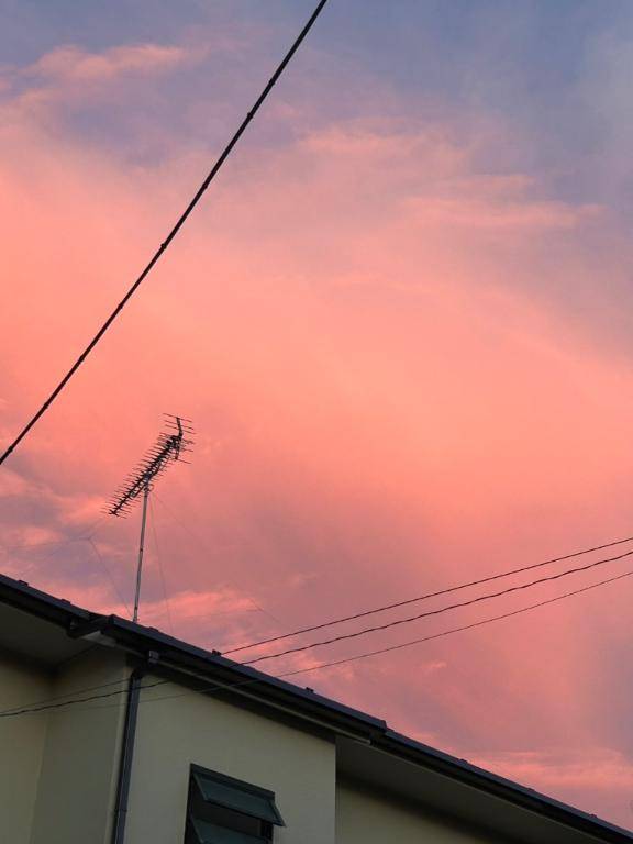 このはpicture