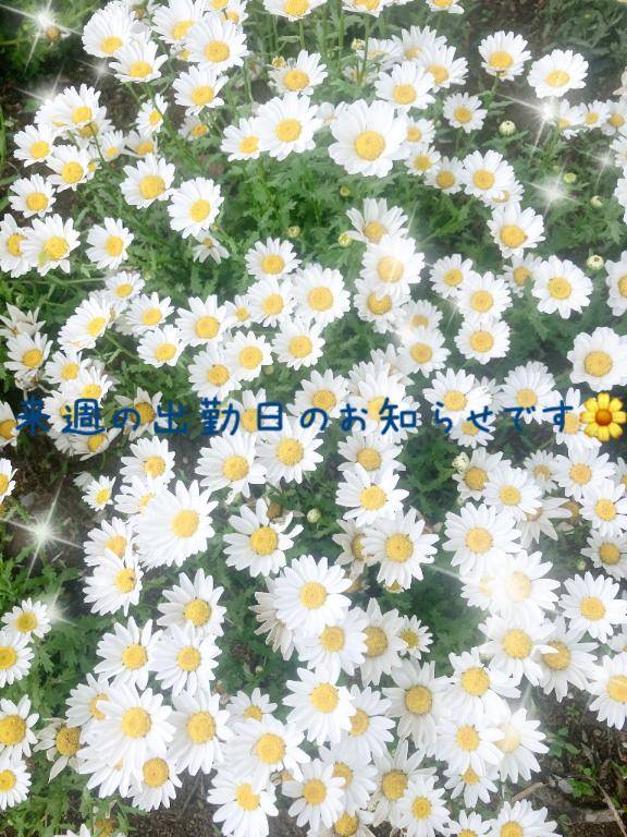 Sumire's selfie