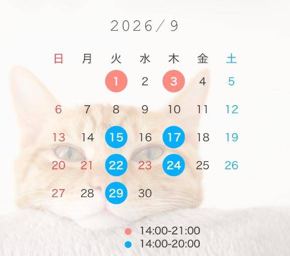 ともえpicture